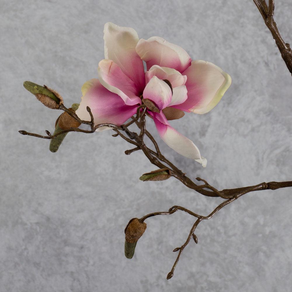 Artificial Blossoms | Blossom – Magnolia Branch, Artificial, Pink / White, 107cm Artificial Artificial Blossoms