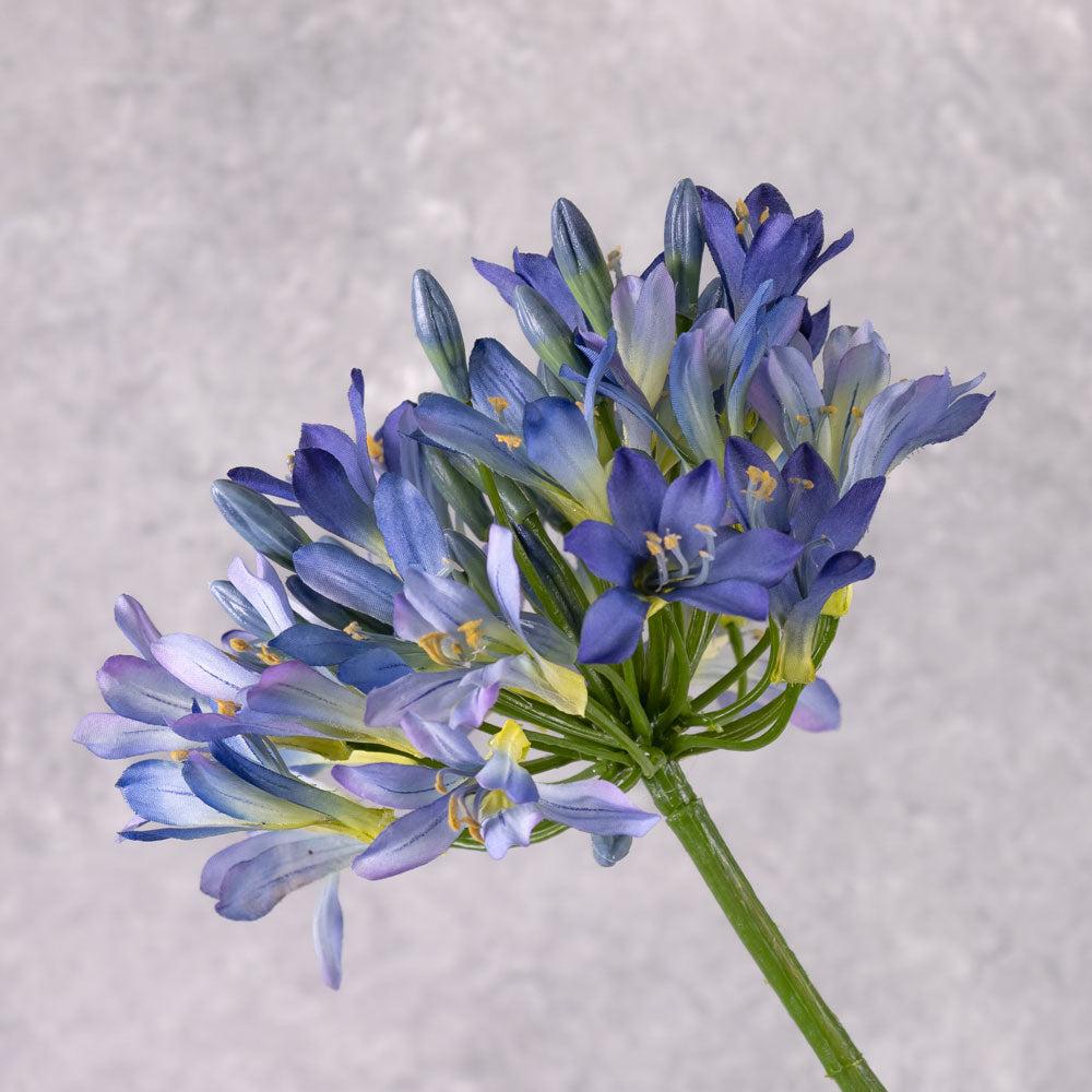 Artificial Flowers | Agapanthus Stem, Artificial, Blue, 88cm Artificial Flowers