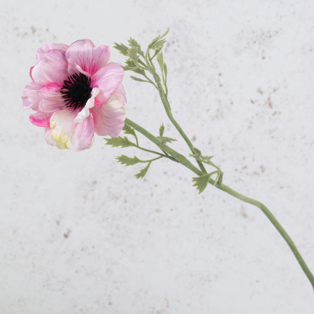 Artificial Flowers | Anemone Nora, Artificial, White/Pink, 10cm x 53cm Artificial Artificial Flowers