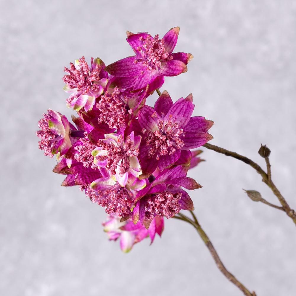 Artificial Flowers | Astrantia Spray (Silk-ka), Artificial, Pink/Beauty, 110cm Artificial Artificial Flowers