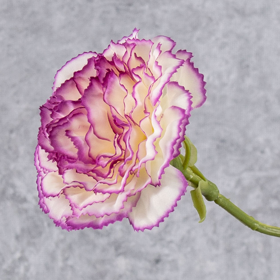 Artificial Flowers | Carnation, Artificial, Cream/Purple Edge, 60cm Artificial Artificial Flowers