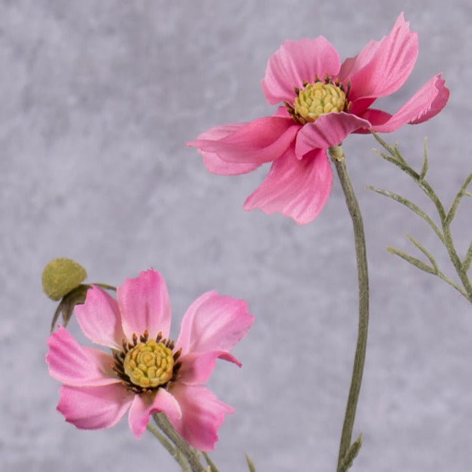 Artificial Flowers | Cosmos bipinnatus, 5 Flowers, Artificial, Dark Pink, 72cm Artificial Artificial Flowers