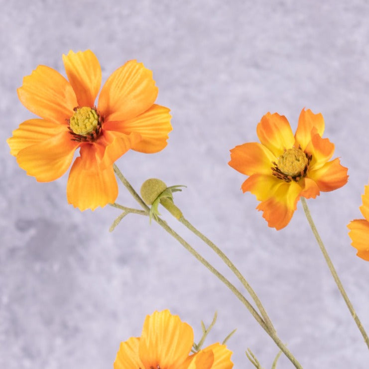 Artificial Flowers | Cosmos bipinnatus, 5 Flowers, Artificial, Orange, 72cm Artificial Artificial Flowers