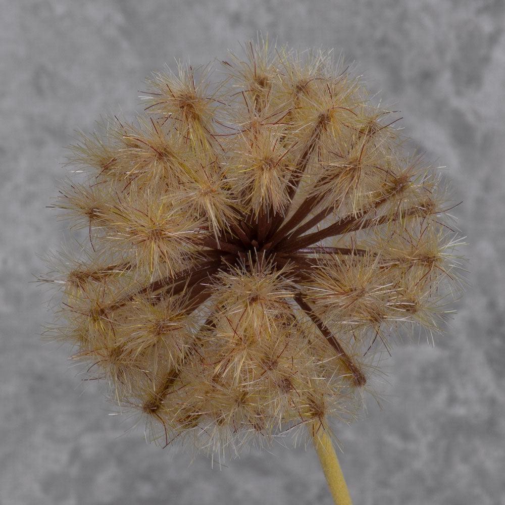 Artificial Flowers | Dandelion Clock, Artificial, Brown, 50cm Artificial Artificial Flowers