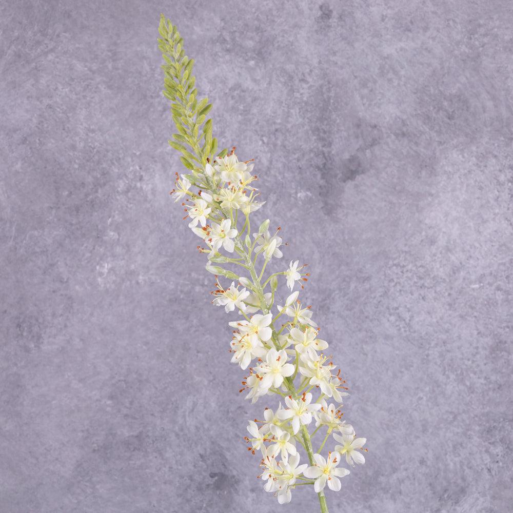 Artificial Flowers | Eremurus, Foxtail Lily, Artificial, White, 106cm Artificial Artificial Flowers