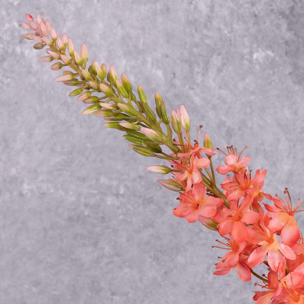 Artificial Flowers | Eremurus Stem (Silk-ka), Artificial, Salmon, 107cm Artificial Artificial Flowers