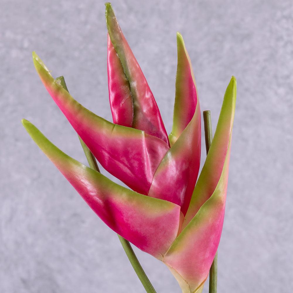 Artificial Flowers | Heliconia, Artificial, Pink / Green, 81cm Artificial Artificial Flowers