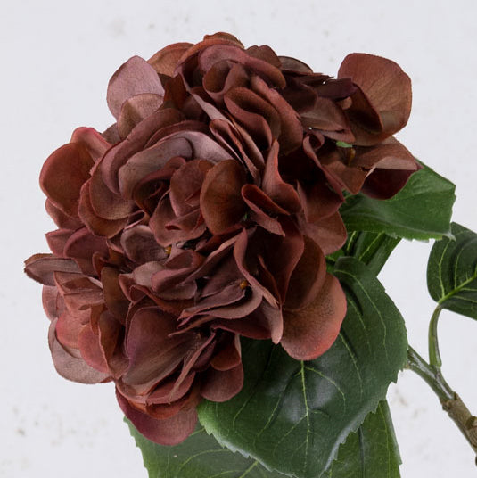 Artificial Flowers | Hydrangea Sensitive, Artificial, Red/Brown, 60cm Artificial Artificial Flowers