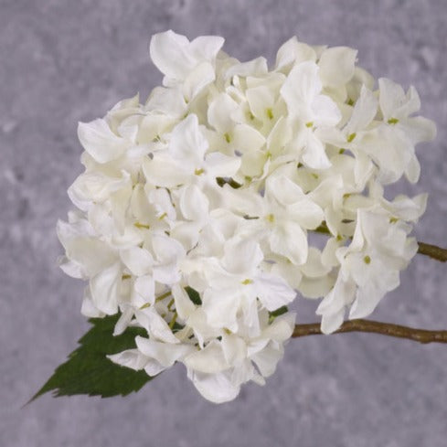 Artificial Flowers | Hydrangea Spray, (Silk-ka), Artificial, Cream, 110cm Artificial Artificial Flowers