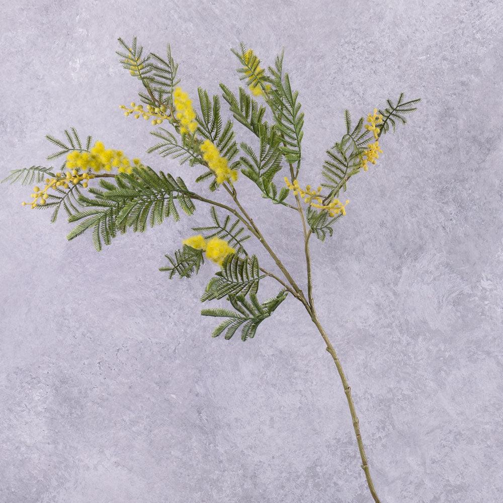 Artificial Flowers | Mimosa (Acacia dealbata), Artificial, Branch, 77cm Artificial Artificial Flowers