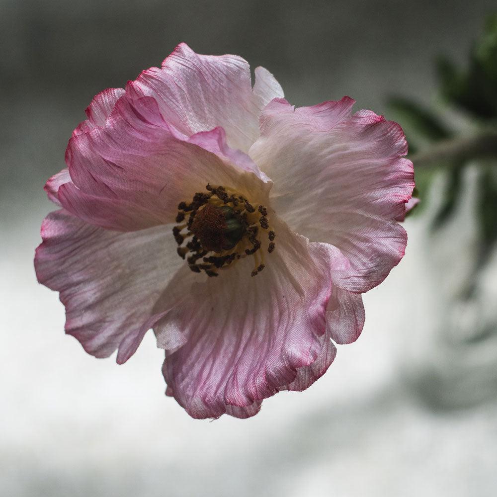 Artificial Flowers | Papaver, (Poppy), Artificial, Pink, 65cm Artificial Artificial Flowers