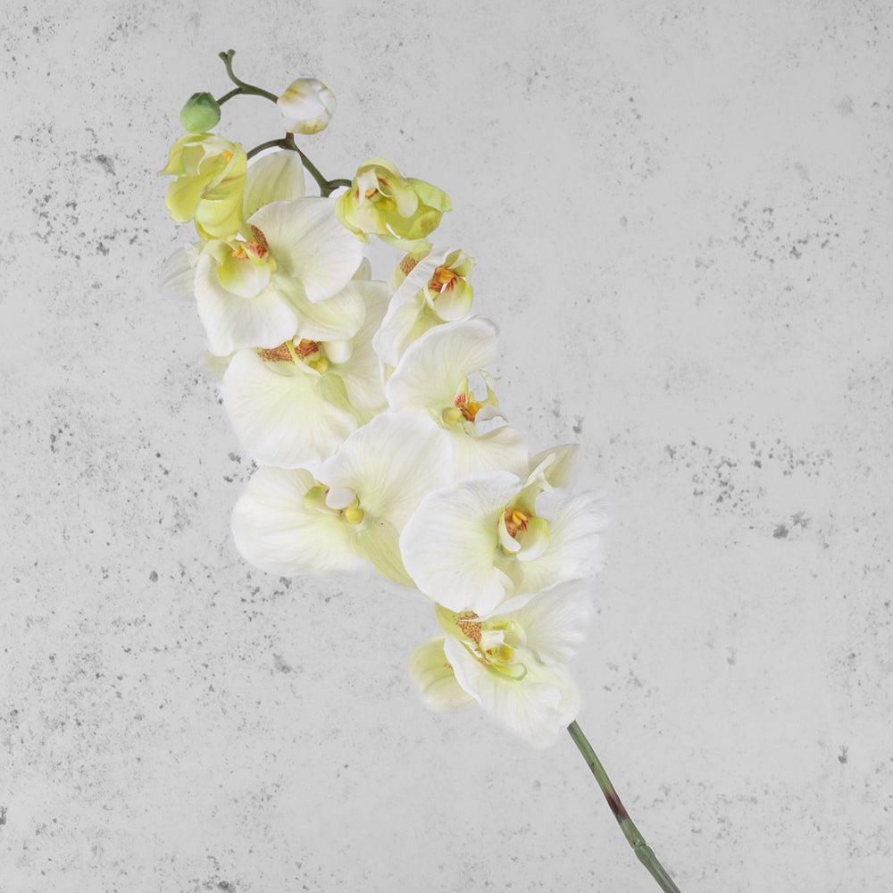 Artificial Flowers | Phalaenopsis, Aritficial, White Green, 102cm Artificial Artificial Flowers