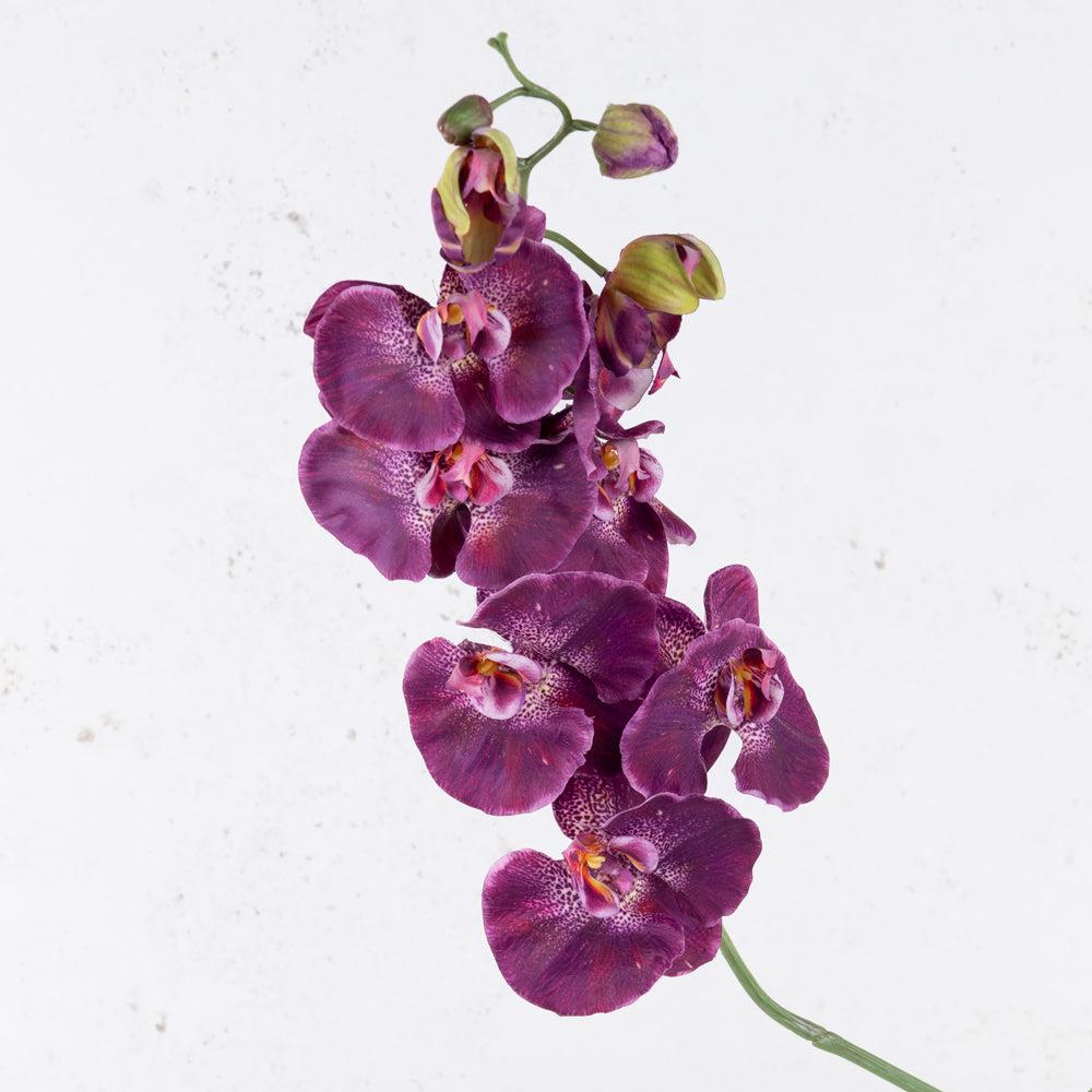 Artificial Flowers | Phalaenopsis, Artificial, Dark Red, 102cm Artificial Artificial Flowers