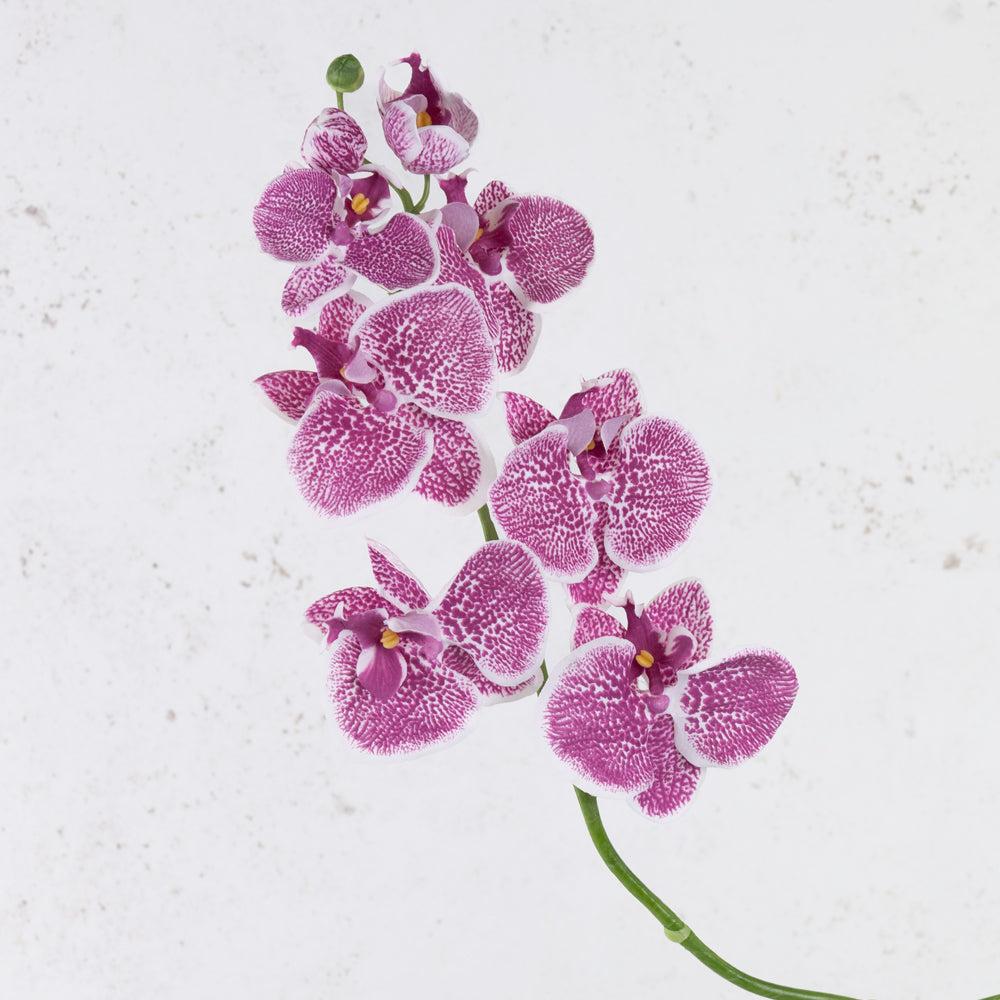 Artificial Flowers | Phalaenopsis Orchid, Artificial, Violet, 75cm Artificial Artificial Flowers