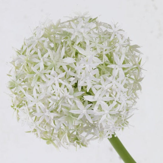 Artificial Foliage | Allium grande, Artificial, White, 76cm Artificial Artificial Flowers