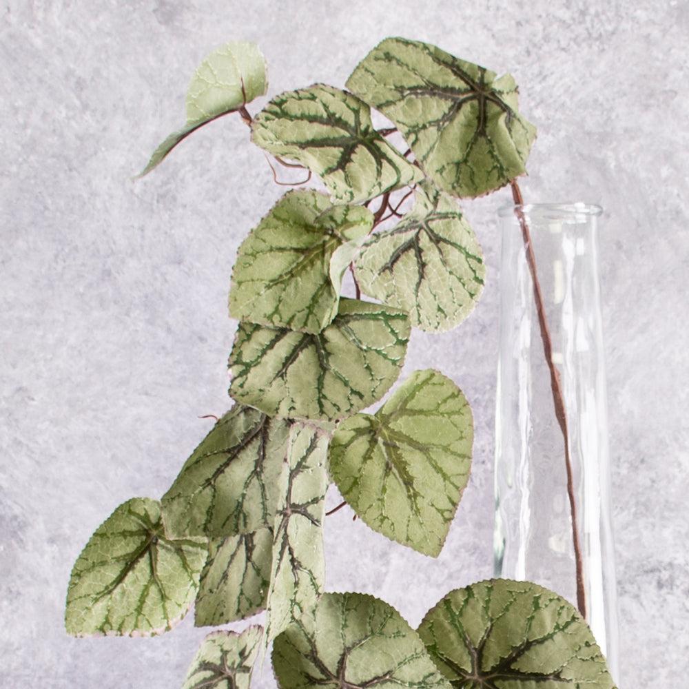 Artificial Foliage | Begonia Rex, Hanging Plant, Artificial, Green, 111cm Artificial Artificial Foliage