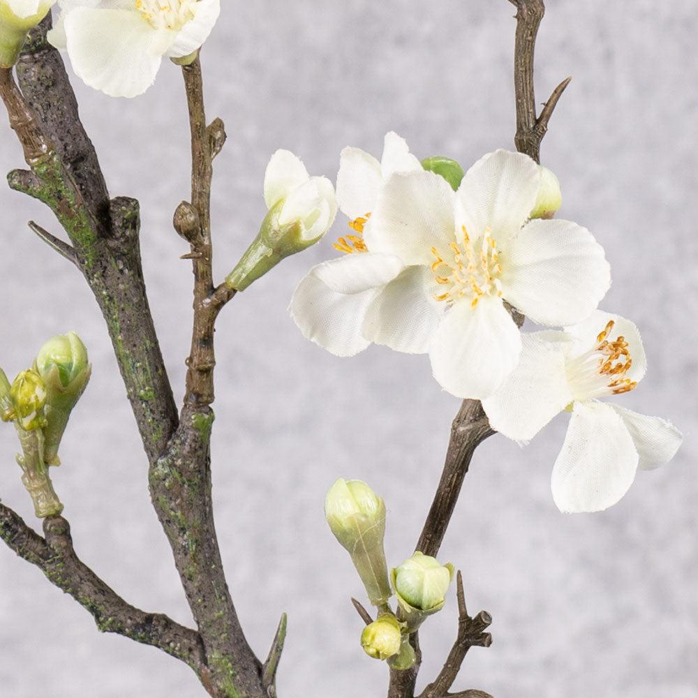 Artificial Foliage | Blossom – Quince, Artificial, Cream, 86cm Artificial Artificial Blossoms