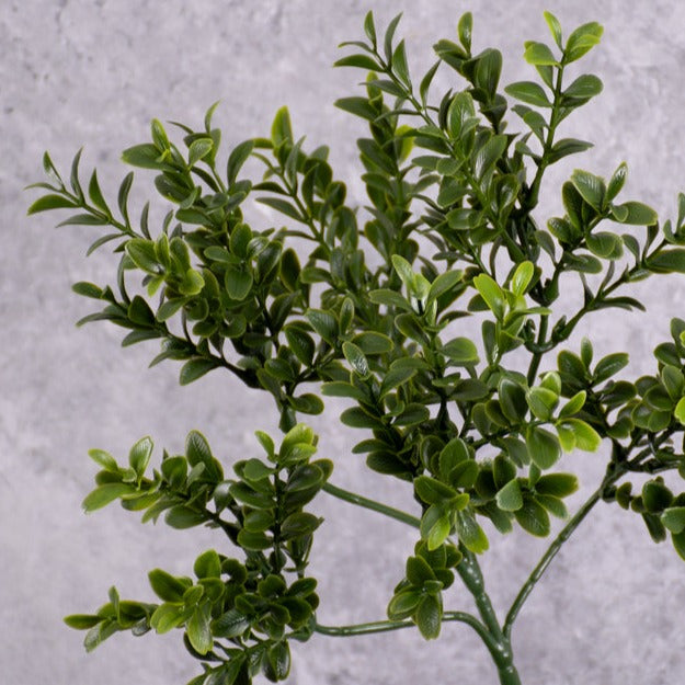 Artificial Foliage | Buxus Branch, Artificial, 47cm Artificial Artificial Foliage