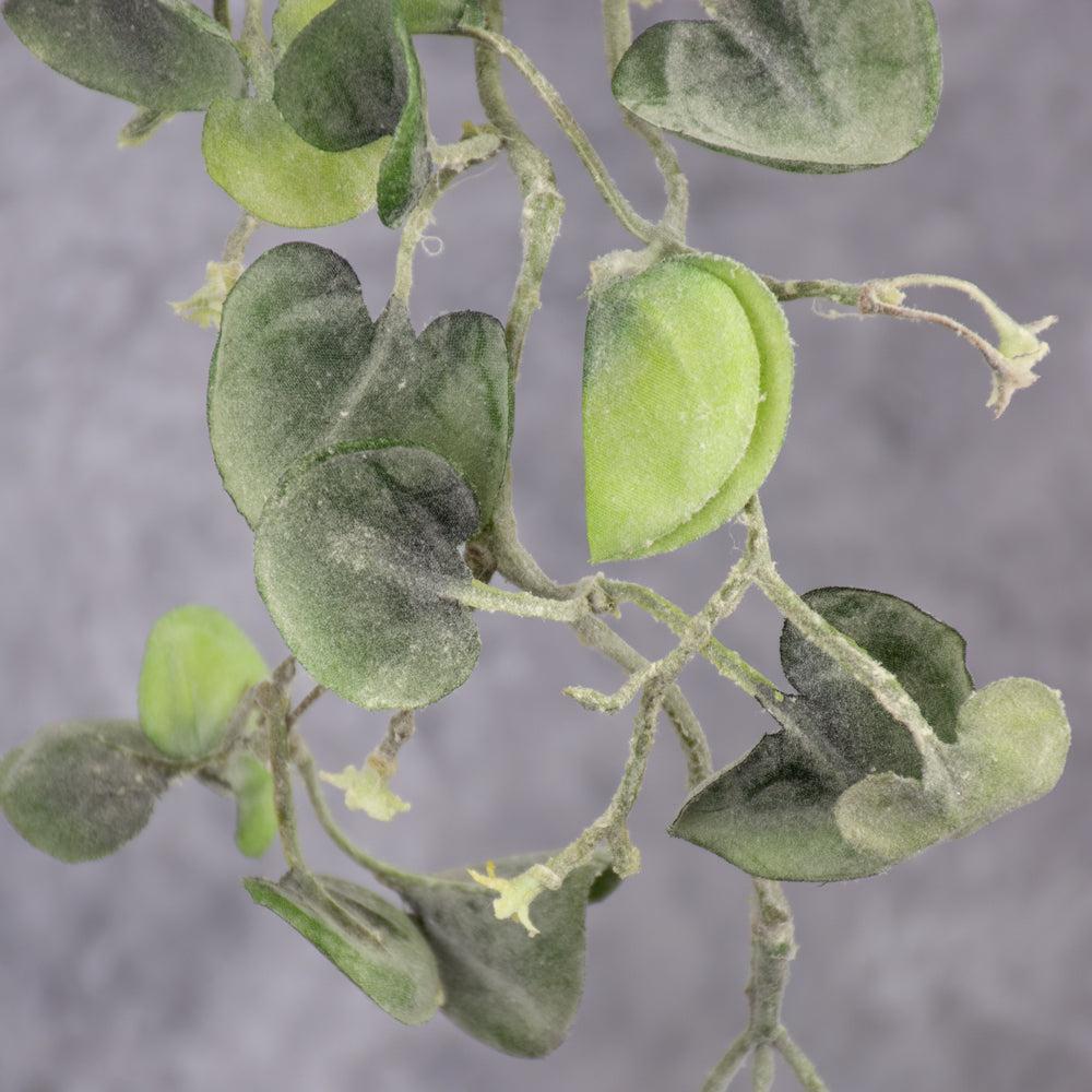 Artificial Foliage | Dichondra Silver Falls Plant Artificial Artificial Foliage