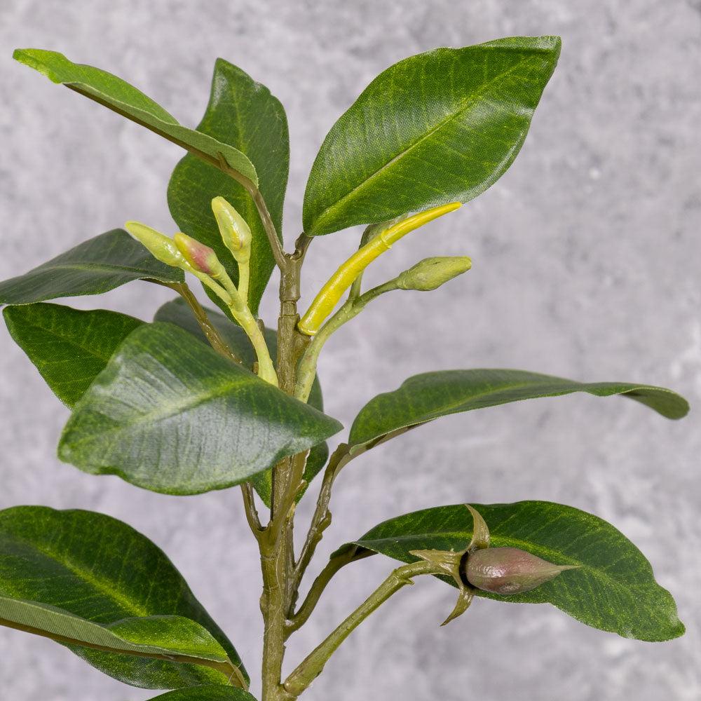 Artificial Foliage | Mangrove Branch, Artificial, 58cm, Fire Retardant Artificial Artificial Foliage