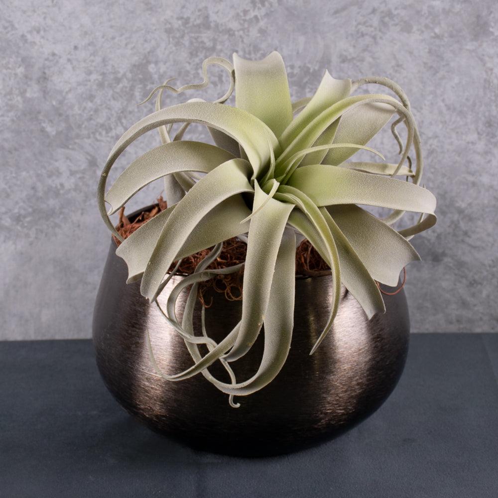 Artificial Foliage | Tillandsia Plant, Artificial, Grey, D25cm Artificial Artificial Foliage