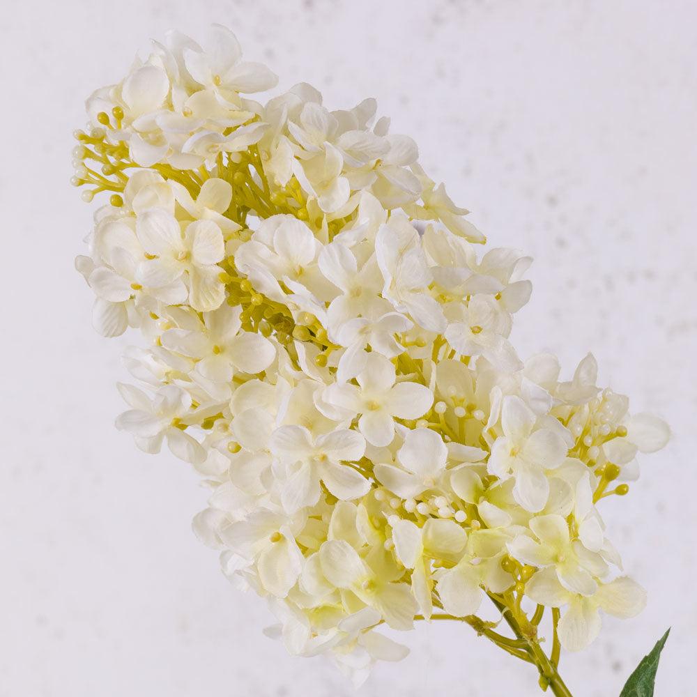 Artificial Hydrangeas | Hydrangea Paniculata, Artificial, Cream, 81cm Artificial Artificial Flowers