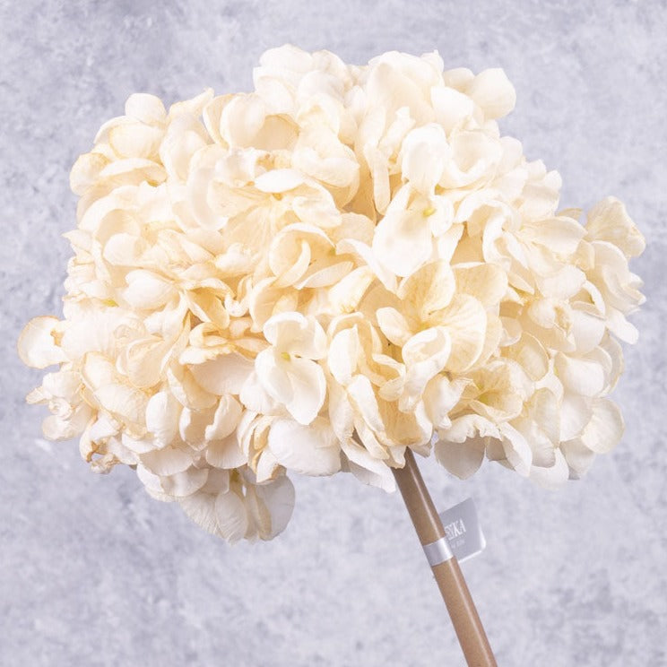 Artificial Hydrangeas | Hydrangea Stem, (Silk-ka), Artificial, Cream, 65cm Artificial Artificial Flowers