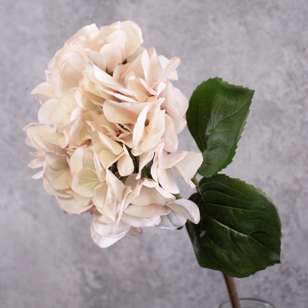 Artificial Hydrangeas | Hydrangea Stem (Silk-ka), Artificial, Cream/Pink, 61cm Artificial Artificial Flowers