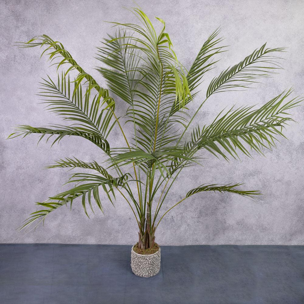 Artificial Indoor Plants | Areca Palm, Artificial, 175cm, UV Safe, In Pot Artificial Artificial Indoor Plants