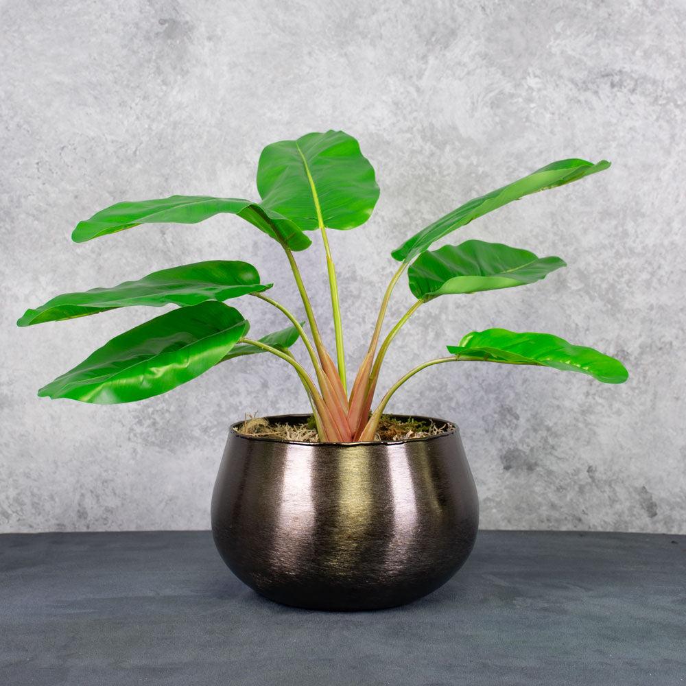 Artificial Indoor Plants | Banana Plant (Musa), Artificial, 55cm, UV Safe Artificial Artificial Indoor Plants