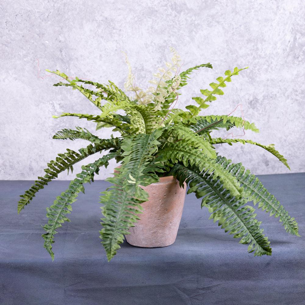 Artificial Indoor Plants | Fern, Boston (sword), Artificial, 60cm Diameter Artificial Artificial Indoor Plants