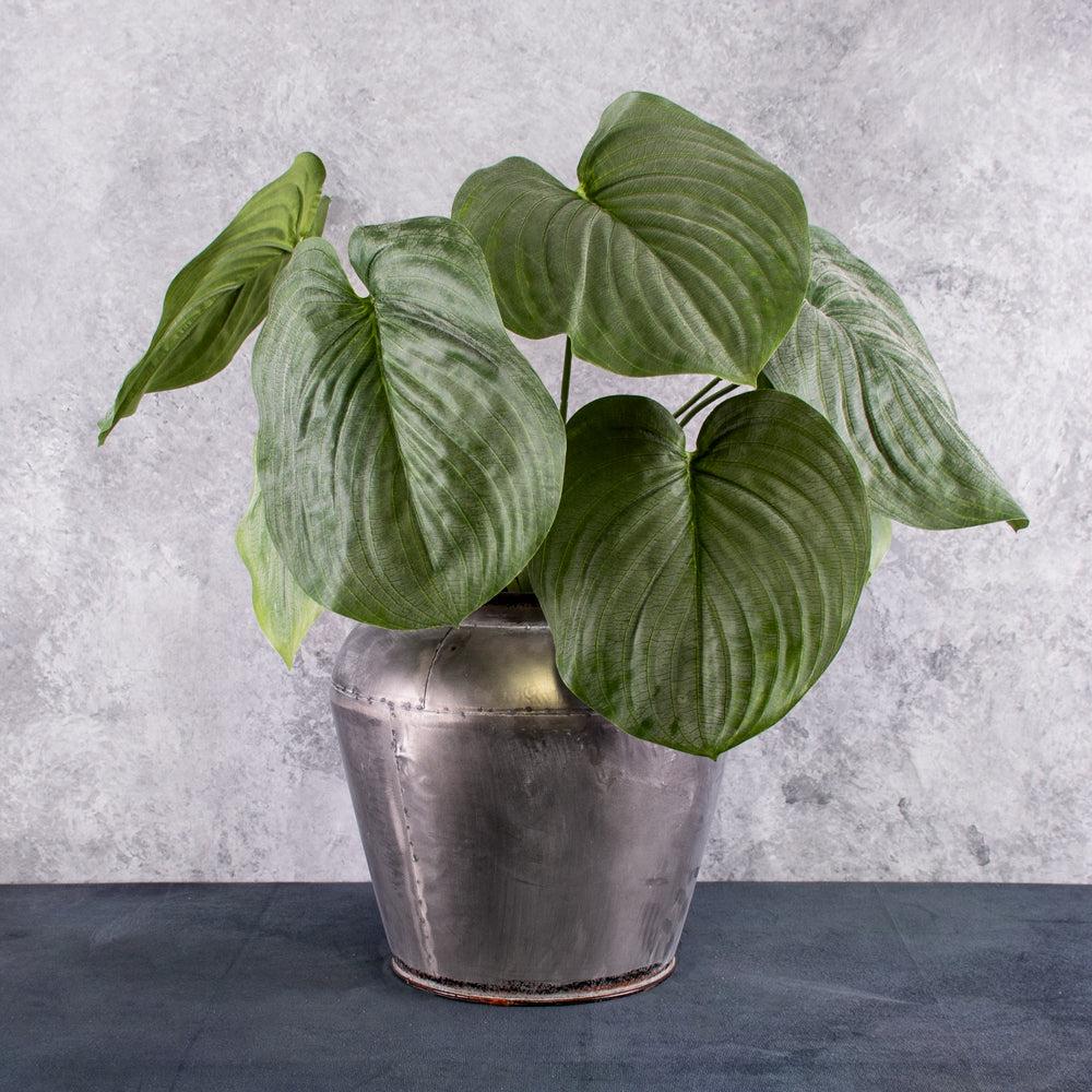 Artificial Indoor Plants | Hosta plant, (Heart Lily), Artificial, Large, 66cm Artificial Artificial Indoor Plants