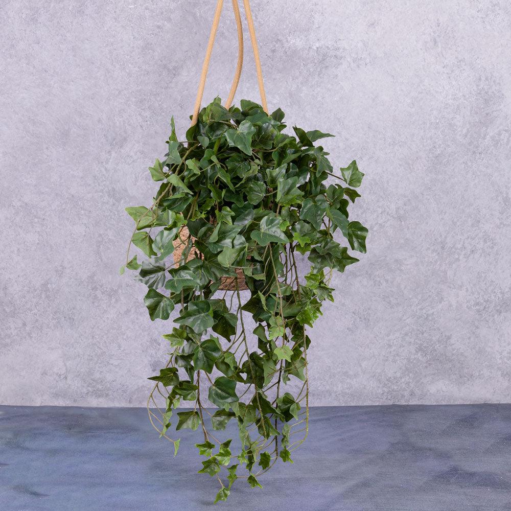 Artificial Indoor Plants | Ivy (hedera helix), Artificial, Green Artificial Artificial Indoor Plants