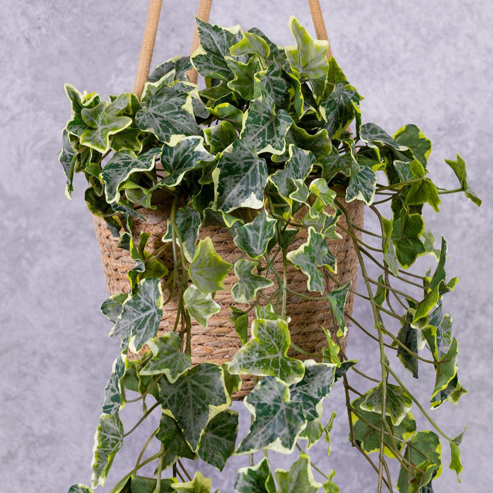 Artificial Indoor Plants | Ivy (hedera helix), Artificial, Variegated Artificial Artificial Indoor Plants