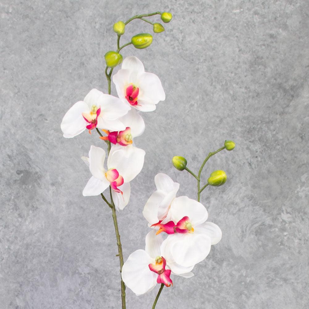 Artificial Indoor Plants | Phalaenopsis Plant, Artificial, White/Pink, 75cm Artificial Artificial Indoor Plants