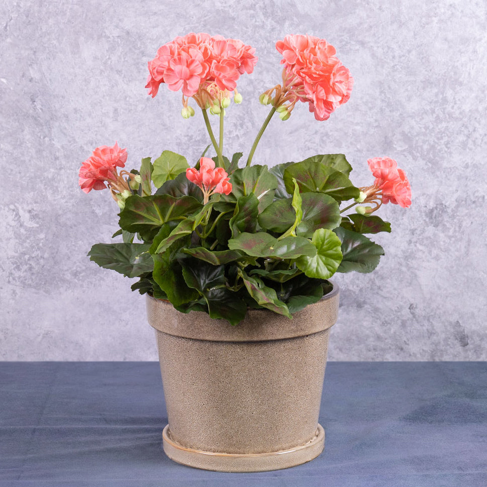 Artificial Outdoor & Garden Plants | Geranium, French, Pink, 37cm Artificial Artificial Outdoor & Garden Plants