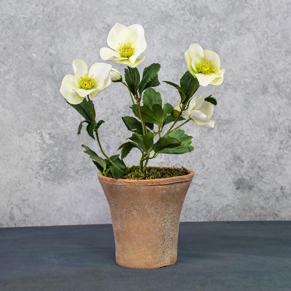 Artificial Outdoor & Garden Plants | Helleborus Bush, Artificial, White, 37cm Artificial Artificial Outdoor & Garden Plants