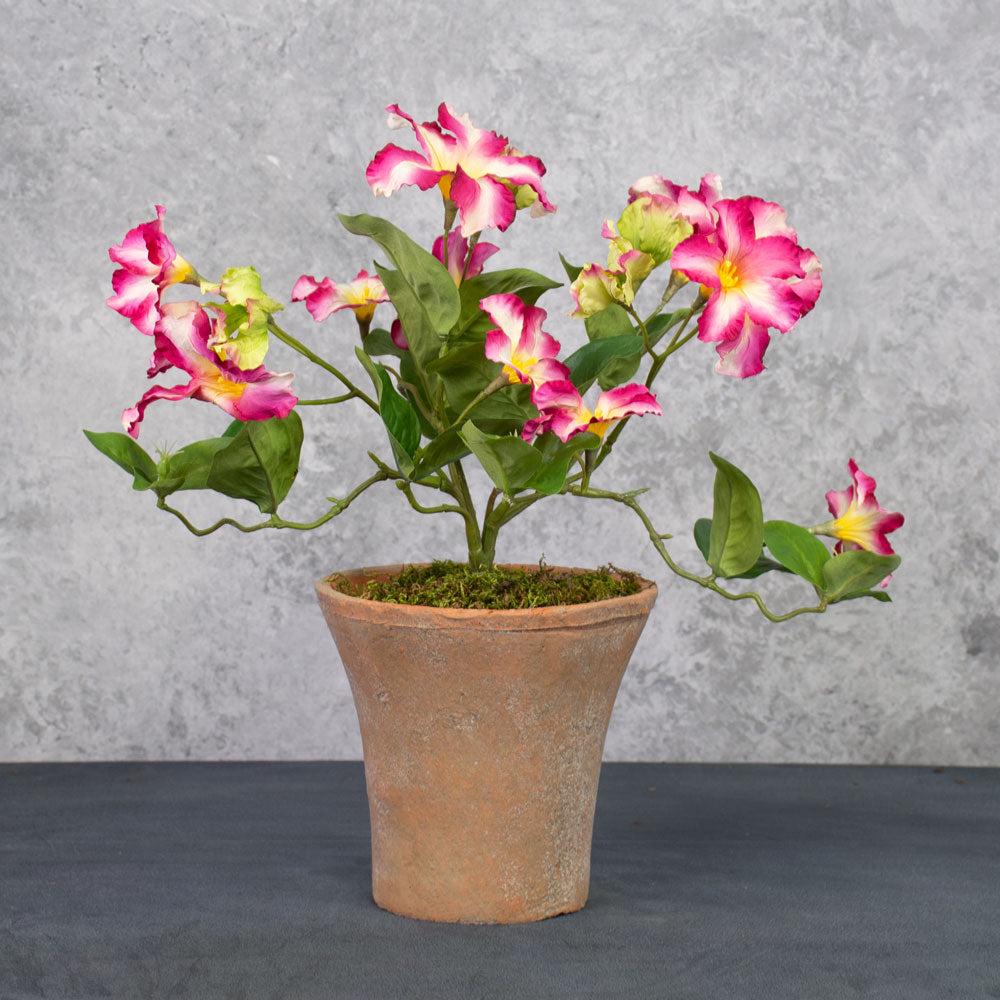 Artificial Outdoor & Garden Plants | Petunia, Artificial, Pink, 40cm Artificial Artificial Outdoor & Garden Plants