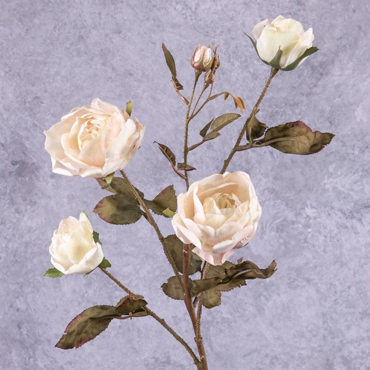 Artificial Roses | Rose Branch, Edith, Artificial, Ivory Pink Splash, 76cm Artificial Artificial Roses