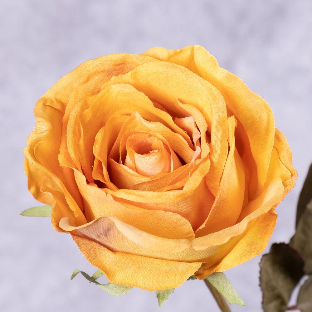 Artificial Roses | Rose Calista, Artificial, Orange Creme, 66cm Artificial Artificial Roses