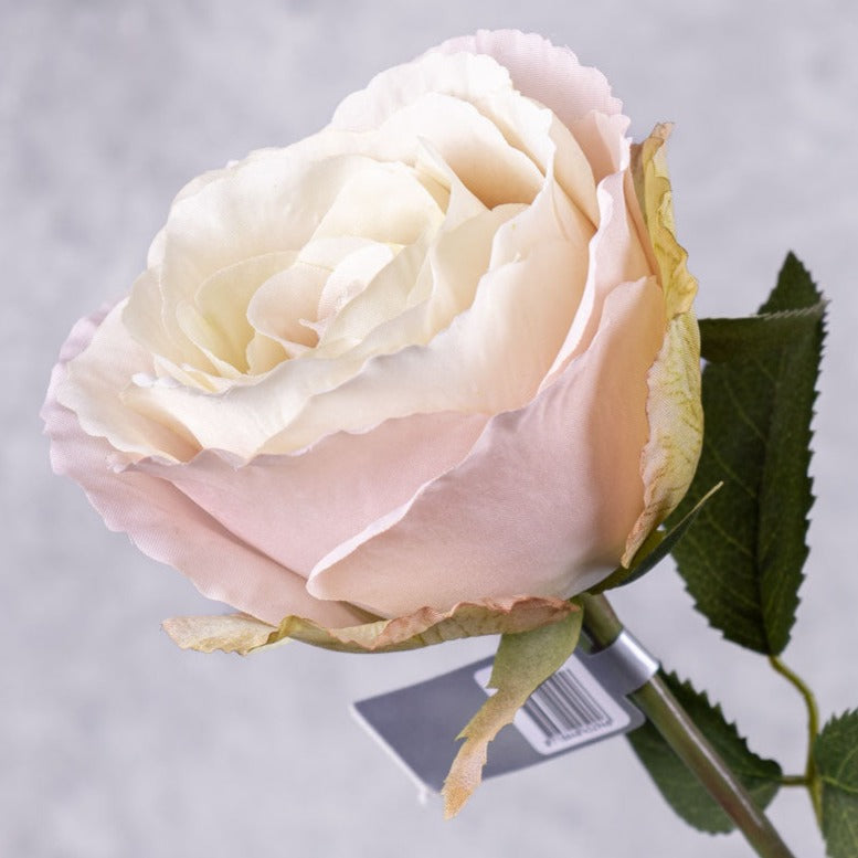 Artificial Roses | Rose Stem (Silk-ka), Artificial, Light Pink, 66cm Artificial Artificial Roses