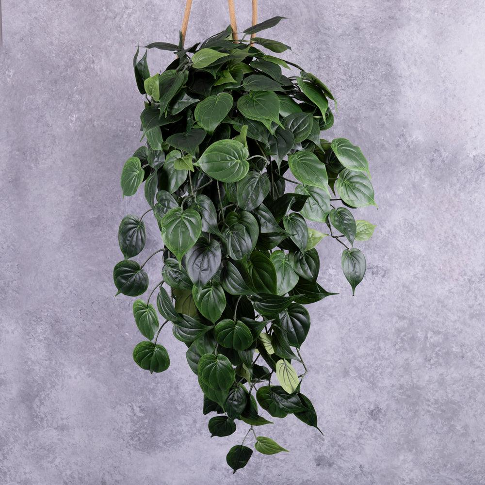 Artificial Trailing Foliage & Garlands | Philodendron Giant Hanger, Artificial, 91cm Artificial Artificial Foliage