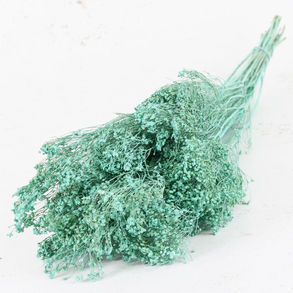 Dried Broom Bloom | Broom Bloom, Dried, Blue Aqua Dried Dried Broom Bloom