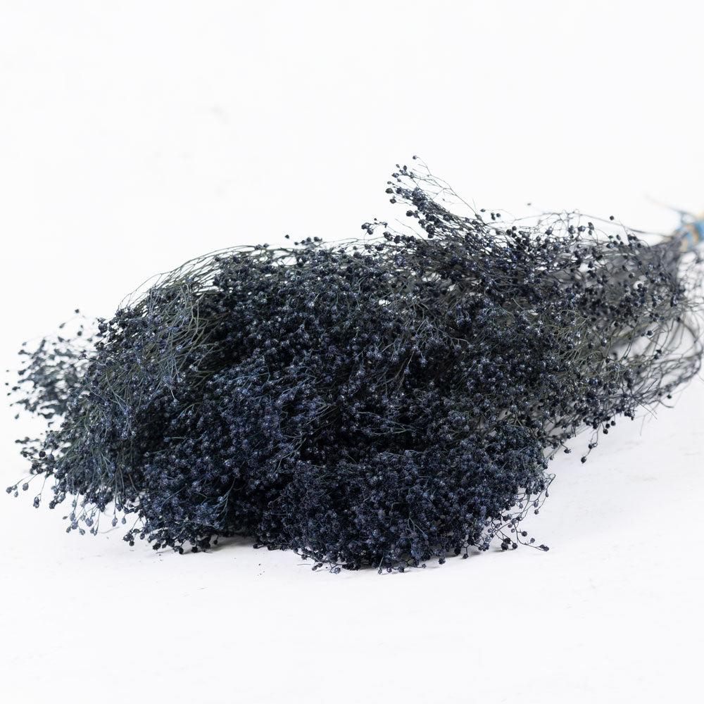 Dried Broom Bloom | Broom Bloom, Dried, Dark Blue Dried Dried Broom Bloom