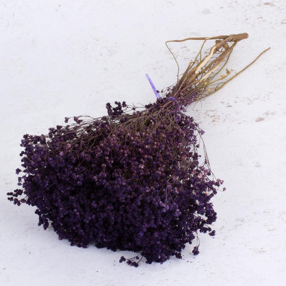 Dried Broom Bloom | Broom Bloom, Dried, Purple, 100g Bunch Dried Dried Broom Bloom