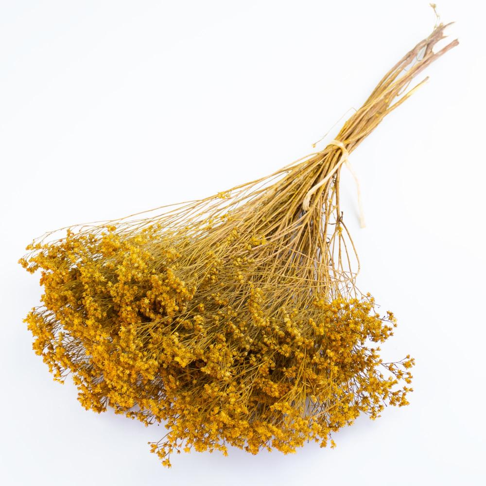 Dried Broom Bloom | Broom Bloom, Dried, Yellow, 100g Bunch Dried Dried Broom Bloom