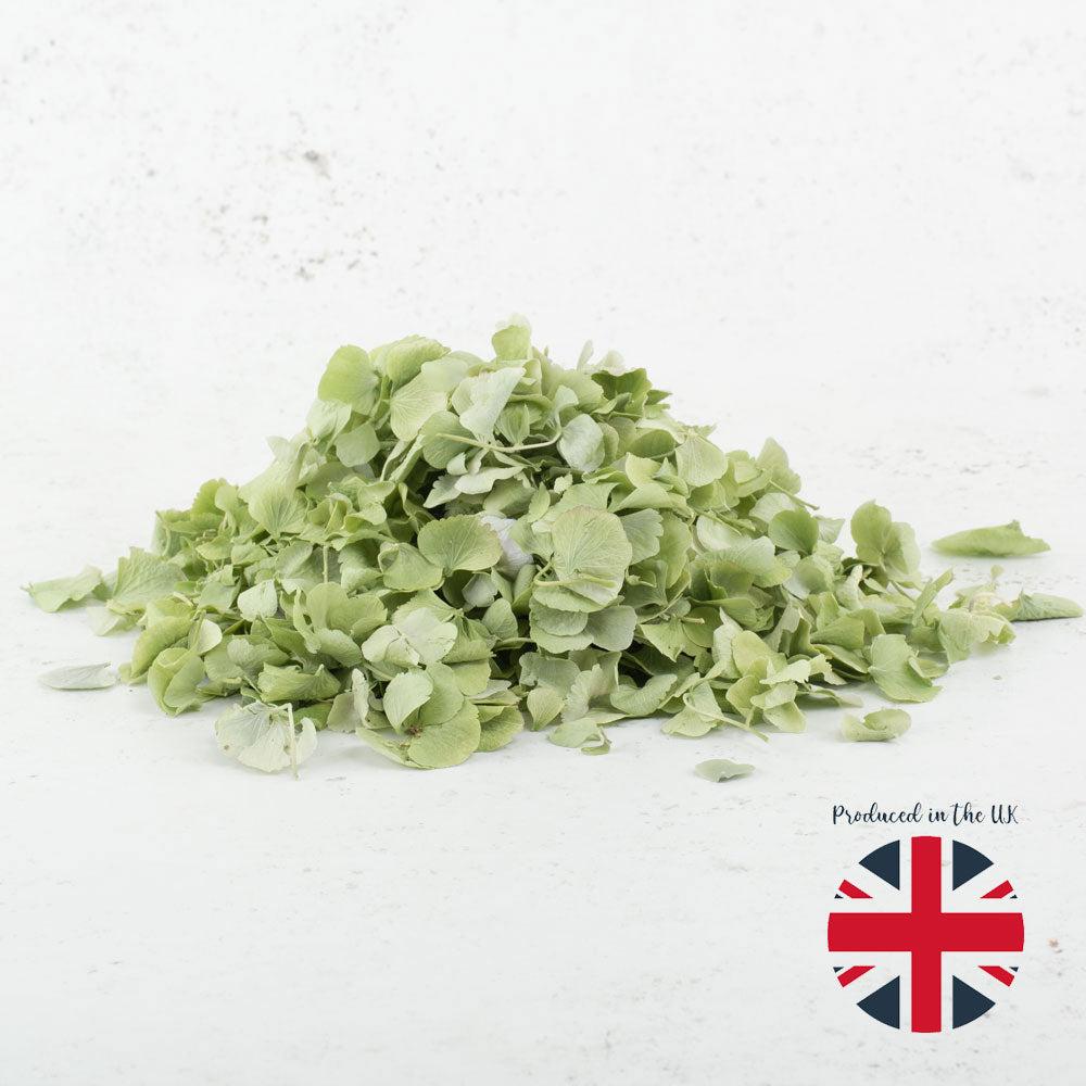 Dried Confetti, Petals & Flowerheads | Hydrangea Petals, Freeze Dried – Sage Green, 5L Dried Dried Confetti, Petals & Flowerheads