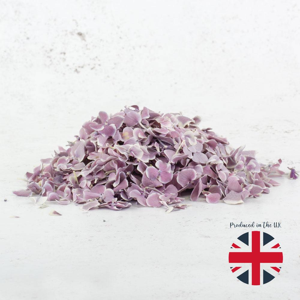 Dried Confetti, Petals & Flowerheads | Hydrangea Petals, Freeze Dried – Violet/White, 5L Dried Dried Confetti, Petals & Flowerheads