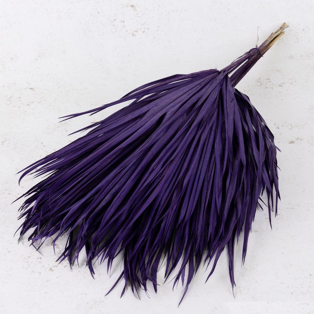 Dried Fillers & Foliage | Fan Palm, Dried, Purple, 70cm, Bunch x 10 Dried Dried Fillers & Foliage