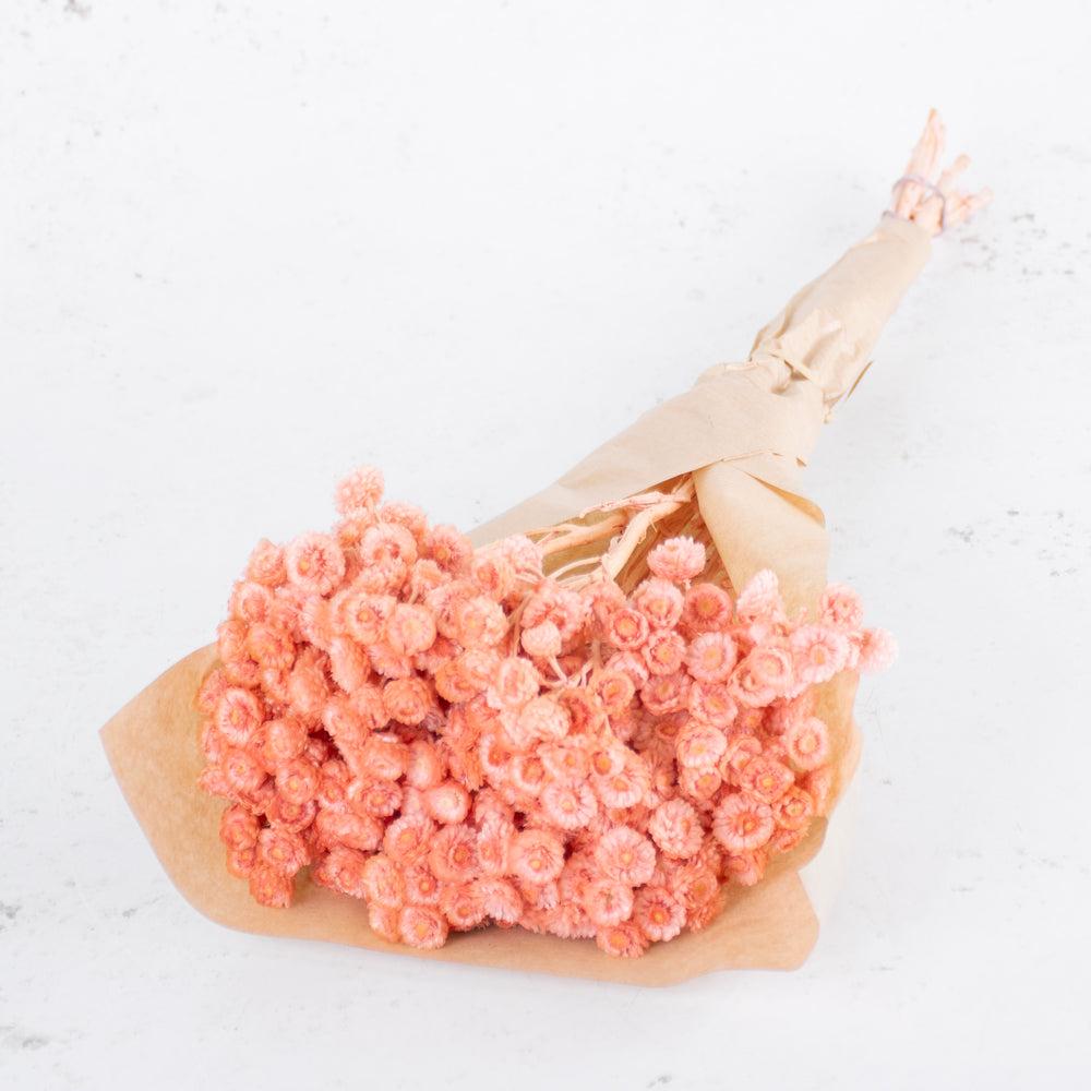 Dried Fillers & Foliage | Helichrysum Immortelle, Dried,Dyed Salmon Pink, 40g Dried Dried Fillers & Foliage